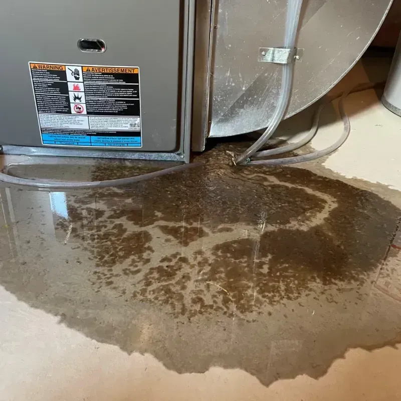 Appliance Leak Cleanup in Bad Axe, MI